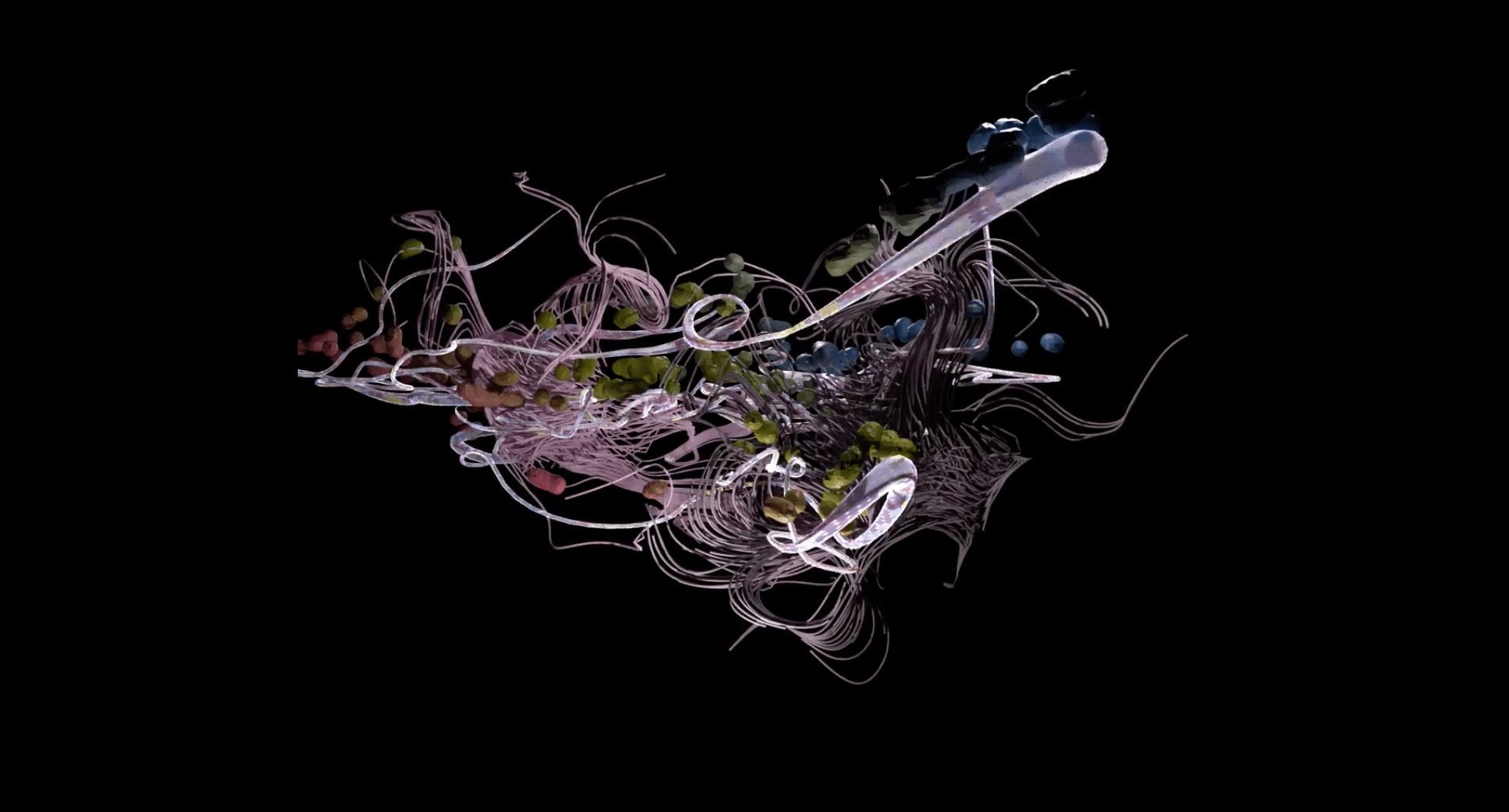 When we were all flowers