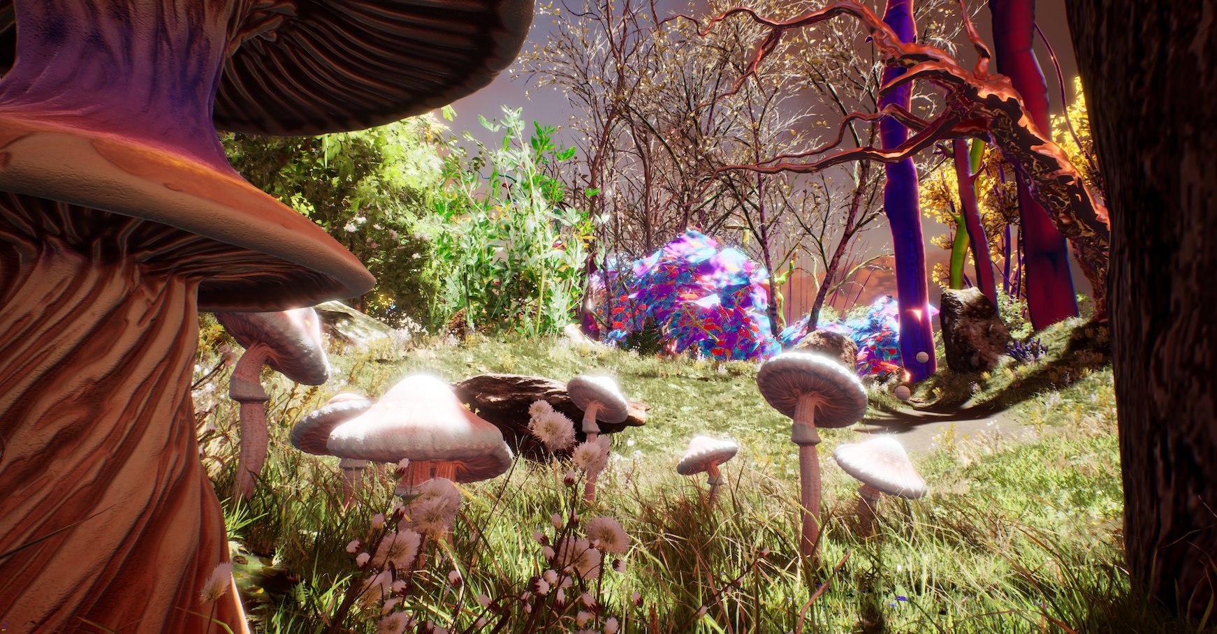 3 Minutes to Midnight, Week 1