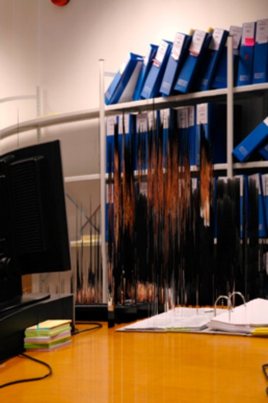 Office Worker (8 hours)