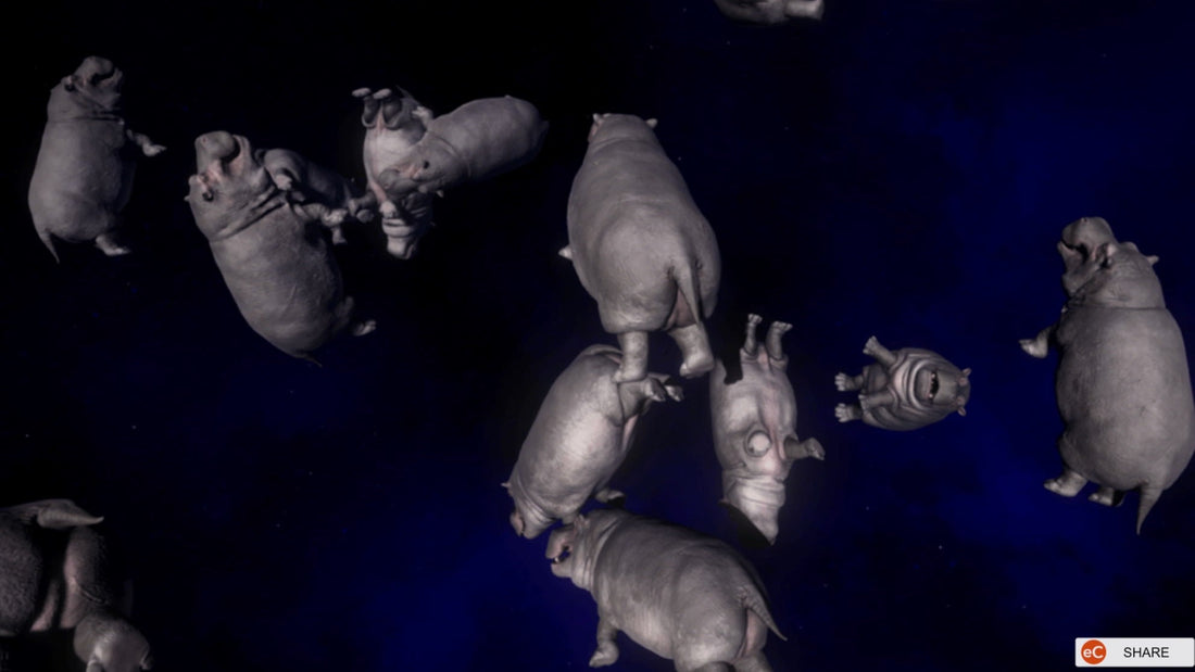 VR Hippos And The Camera Path