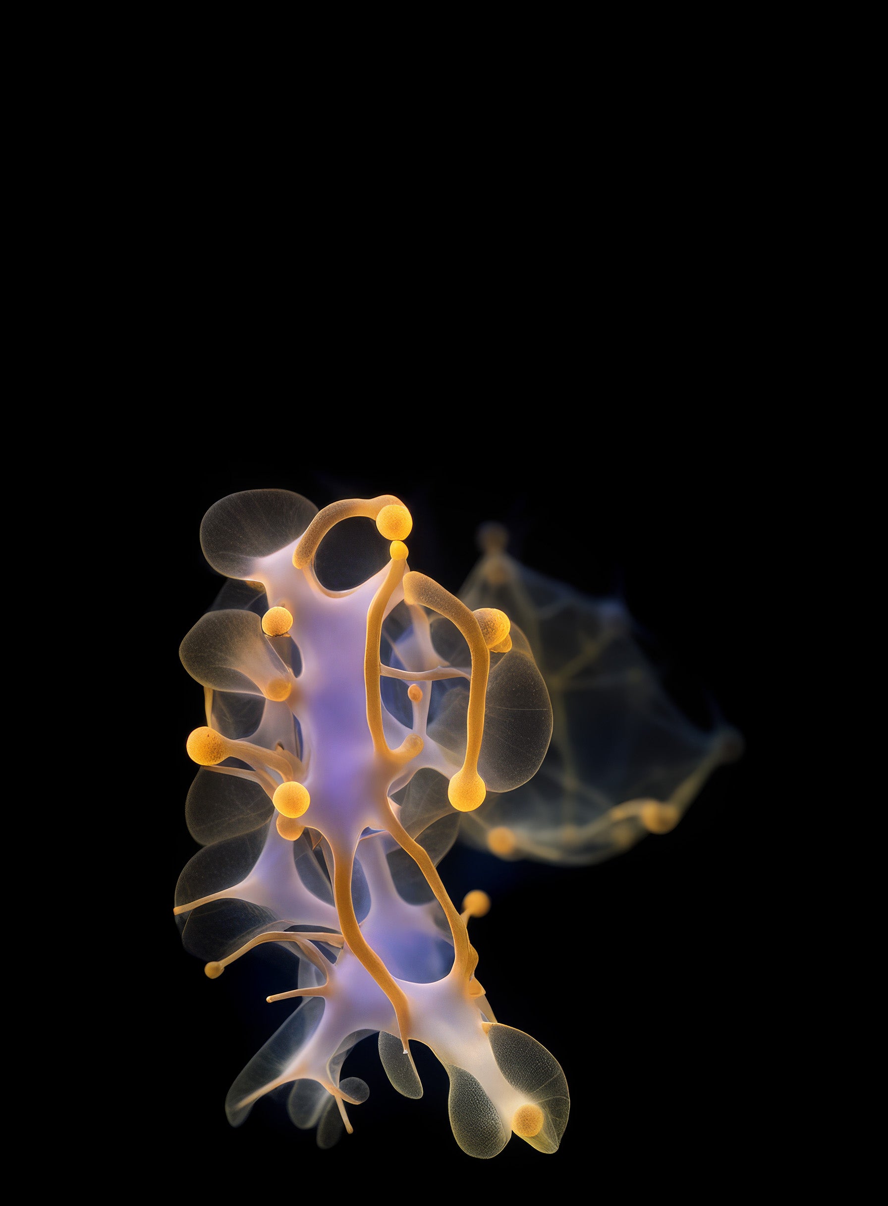 Superradiance Chapter 1: Embodied Simulation