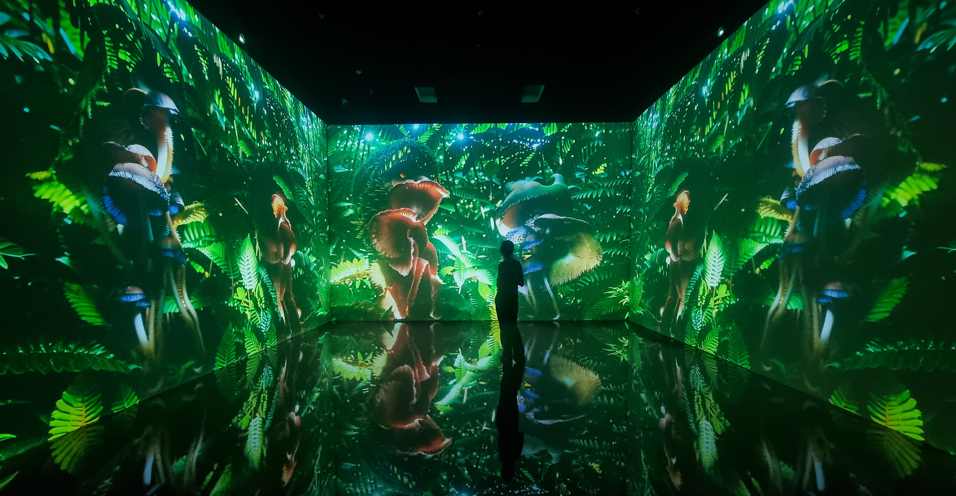 Superradiance Chapter 2: Embodying Earth