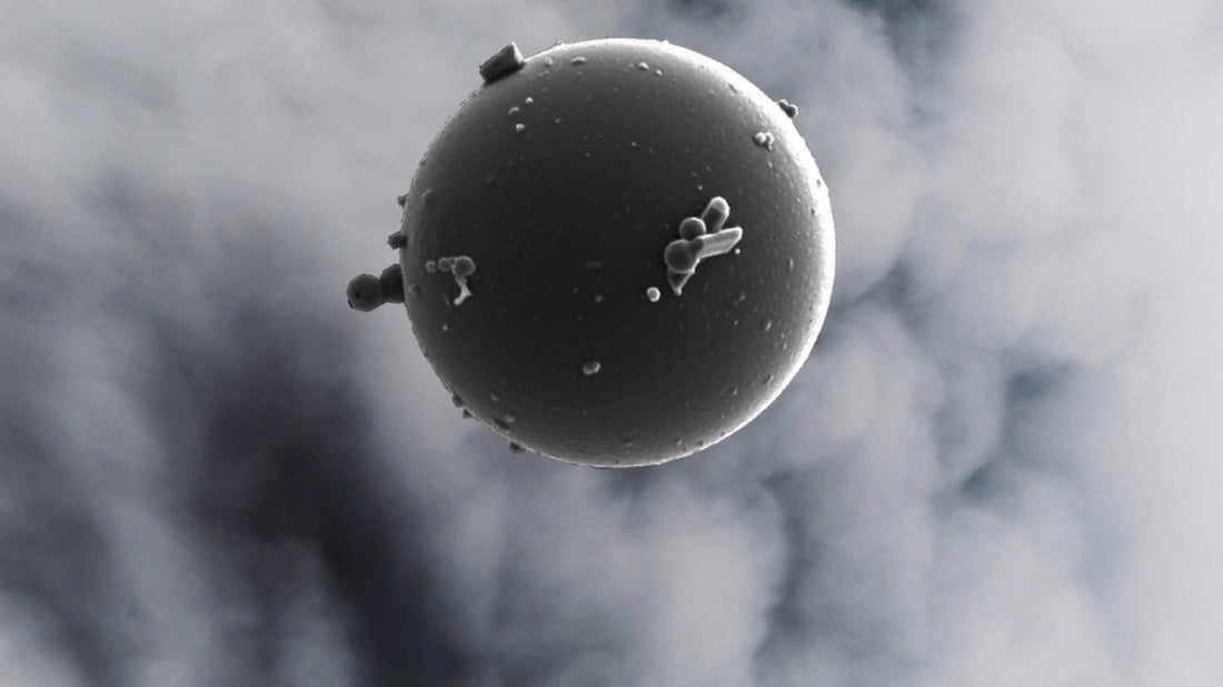 Breathe, Air Morphologies