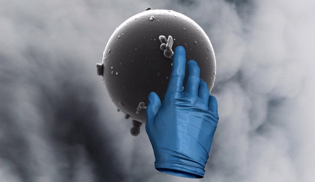 Touch, Air Morphologies