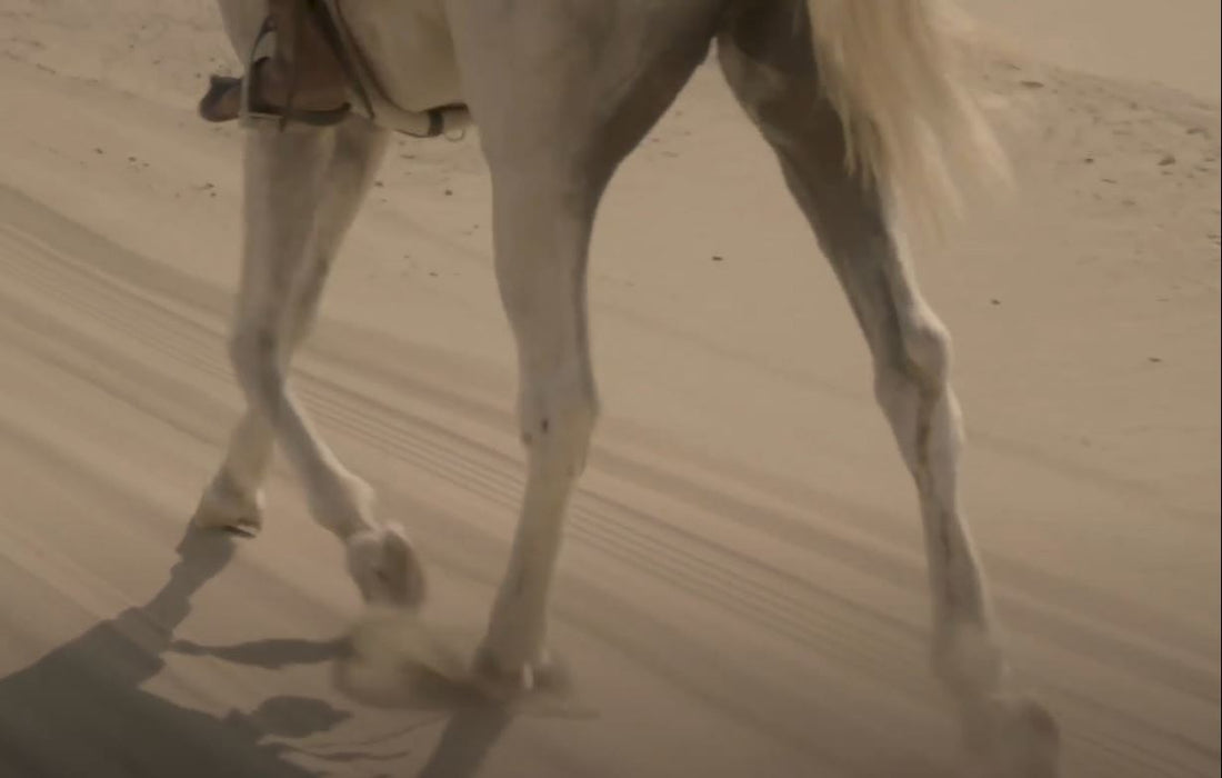 In Search of the Loophole