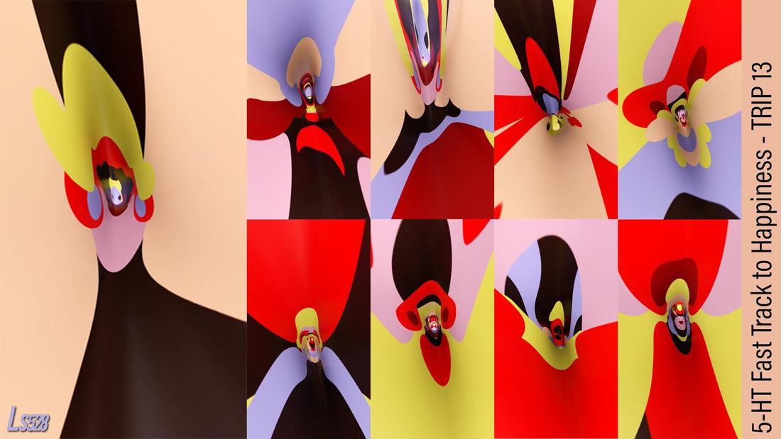 5-HT Fast Track to Happiness: Virtual Psychedelic Roller Coaster Snap Shots
