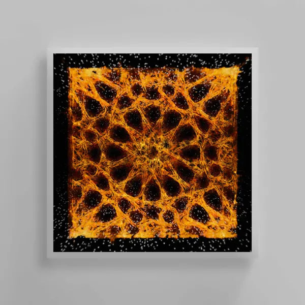 Relativity of Perception