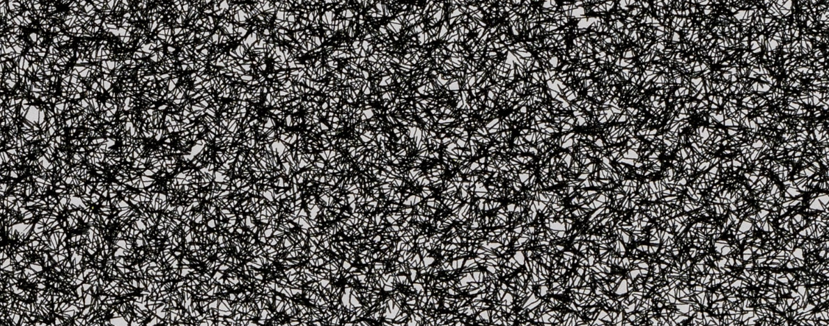 Raymarcher