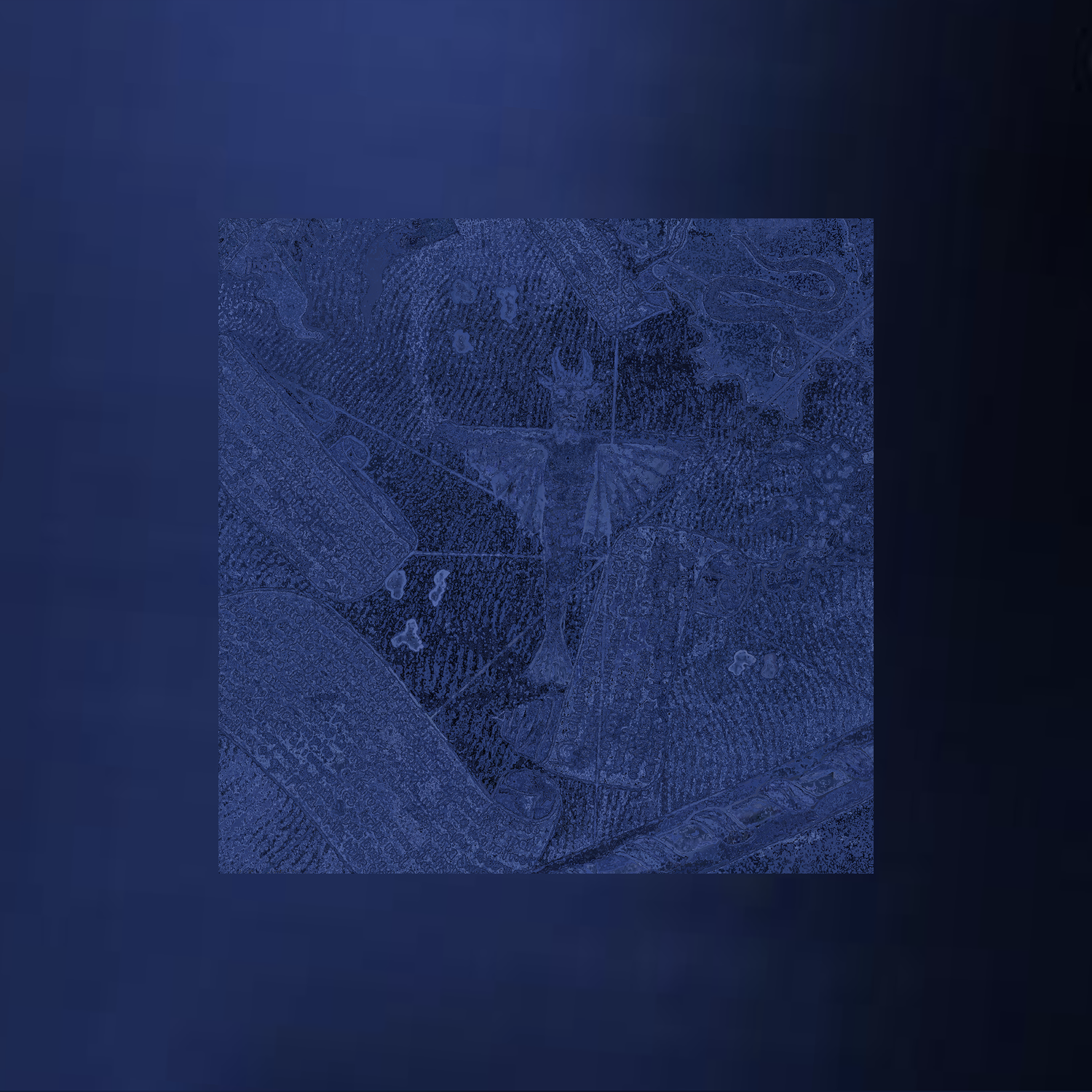 Liliana Farber: Imaginary Blues