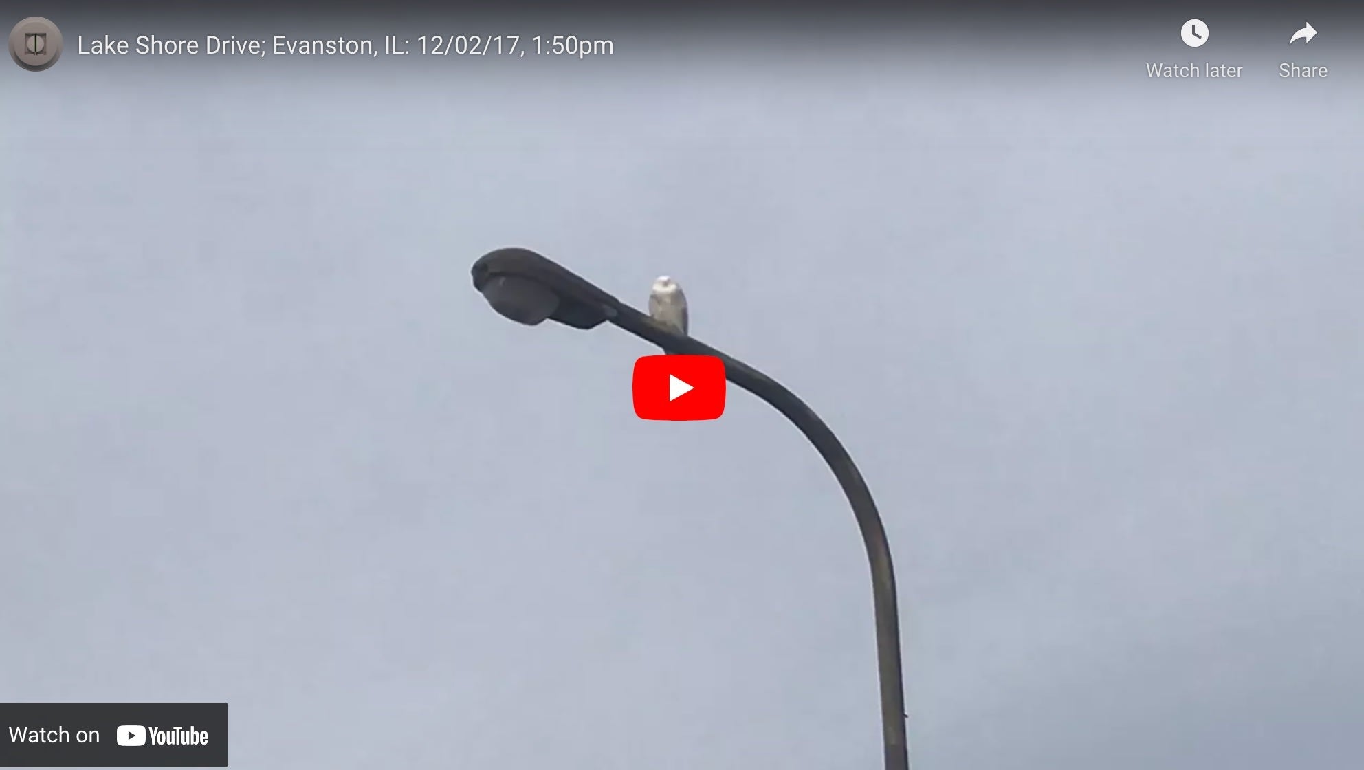 Lake Shore Drive; Evanston, Il: 12/02/17, 1:50pm