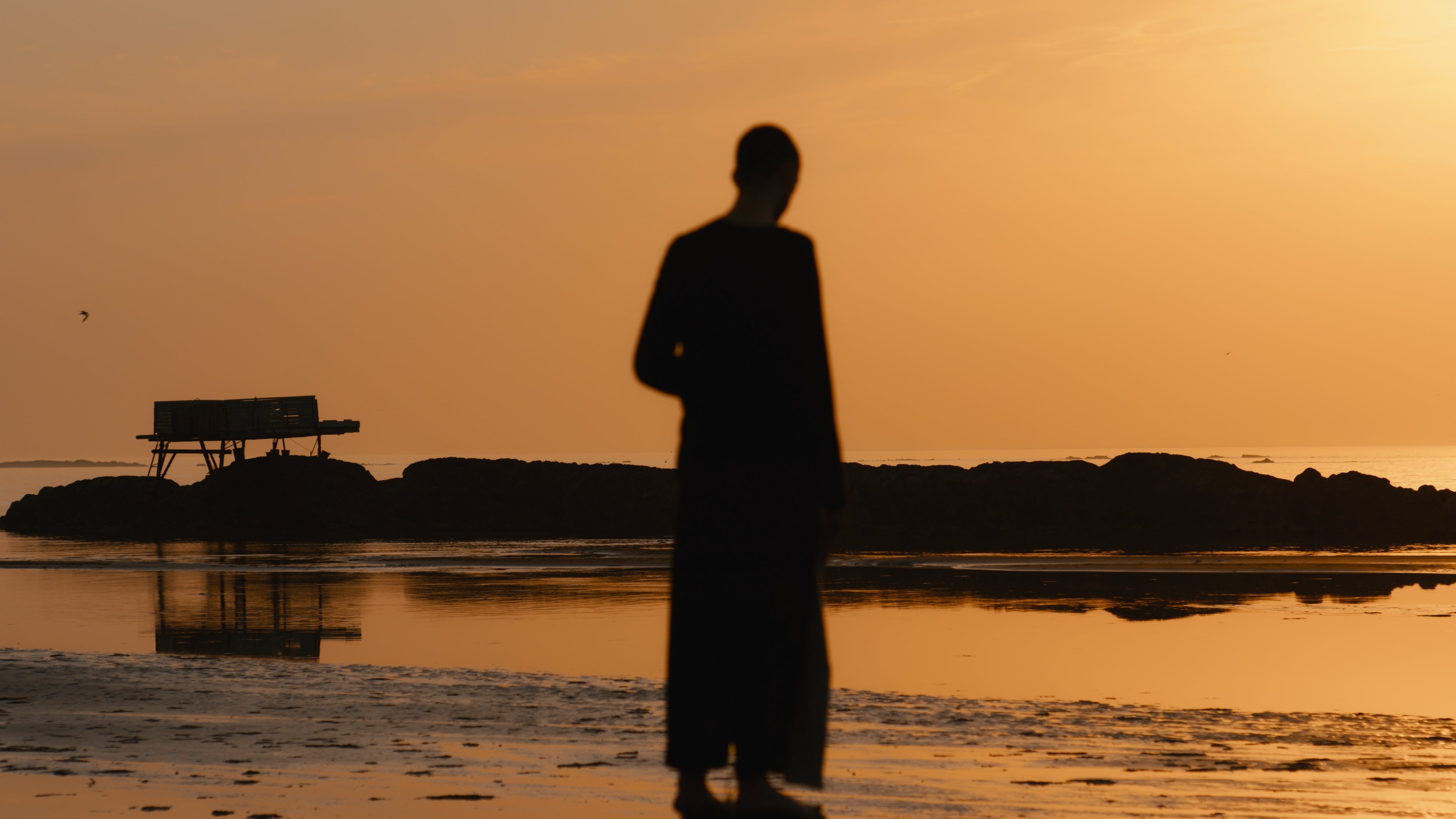 Still image from “Echoactivism I”