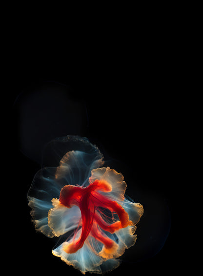 Superradiance Chapter 1: Embodied Simulation