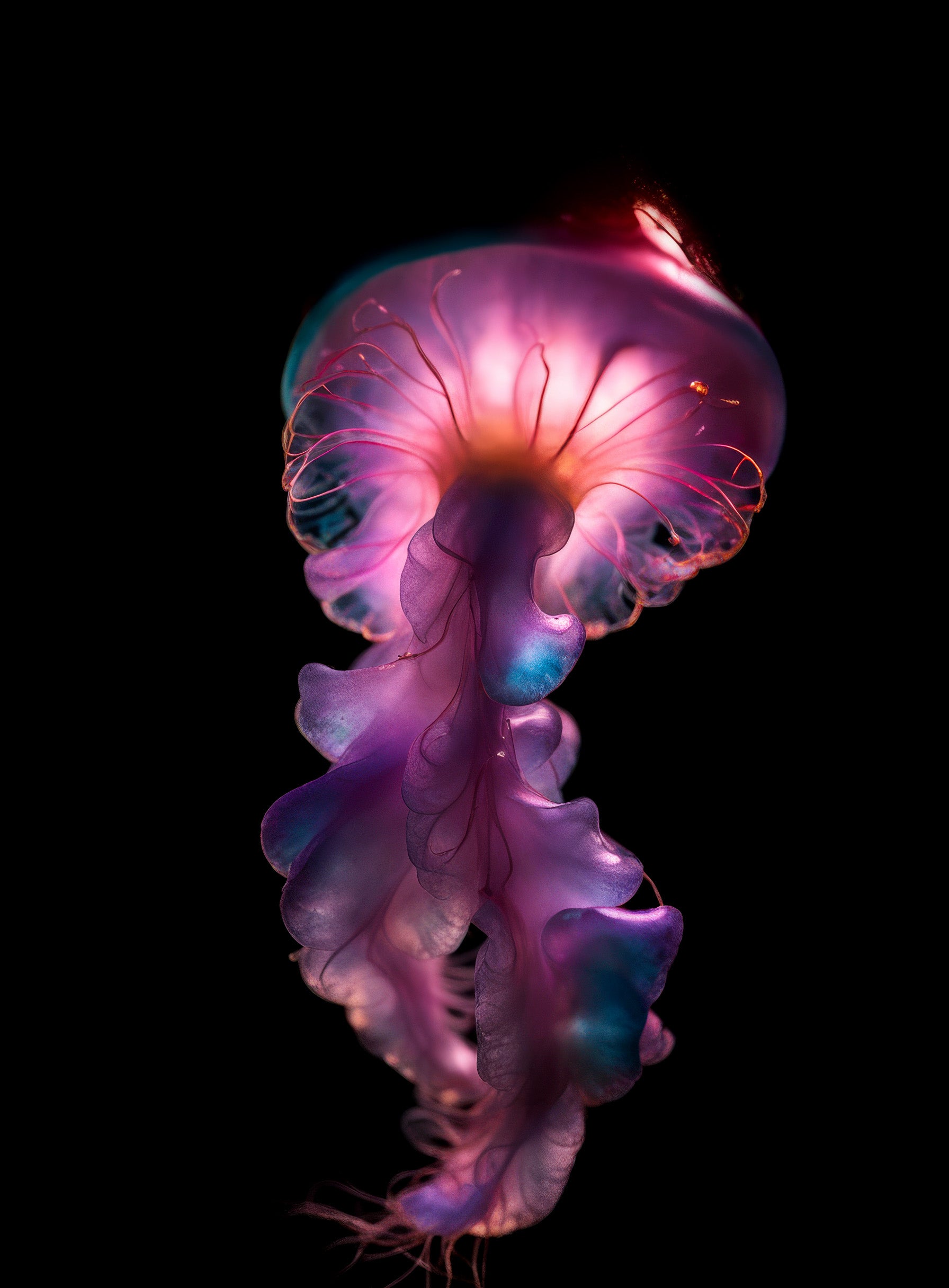 Superradiance Chapter 1: Embodied Simulation