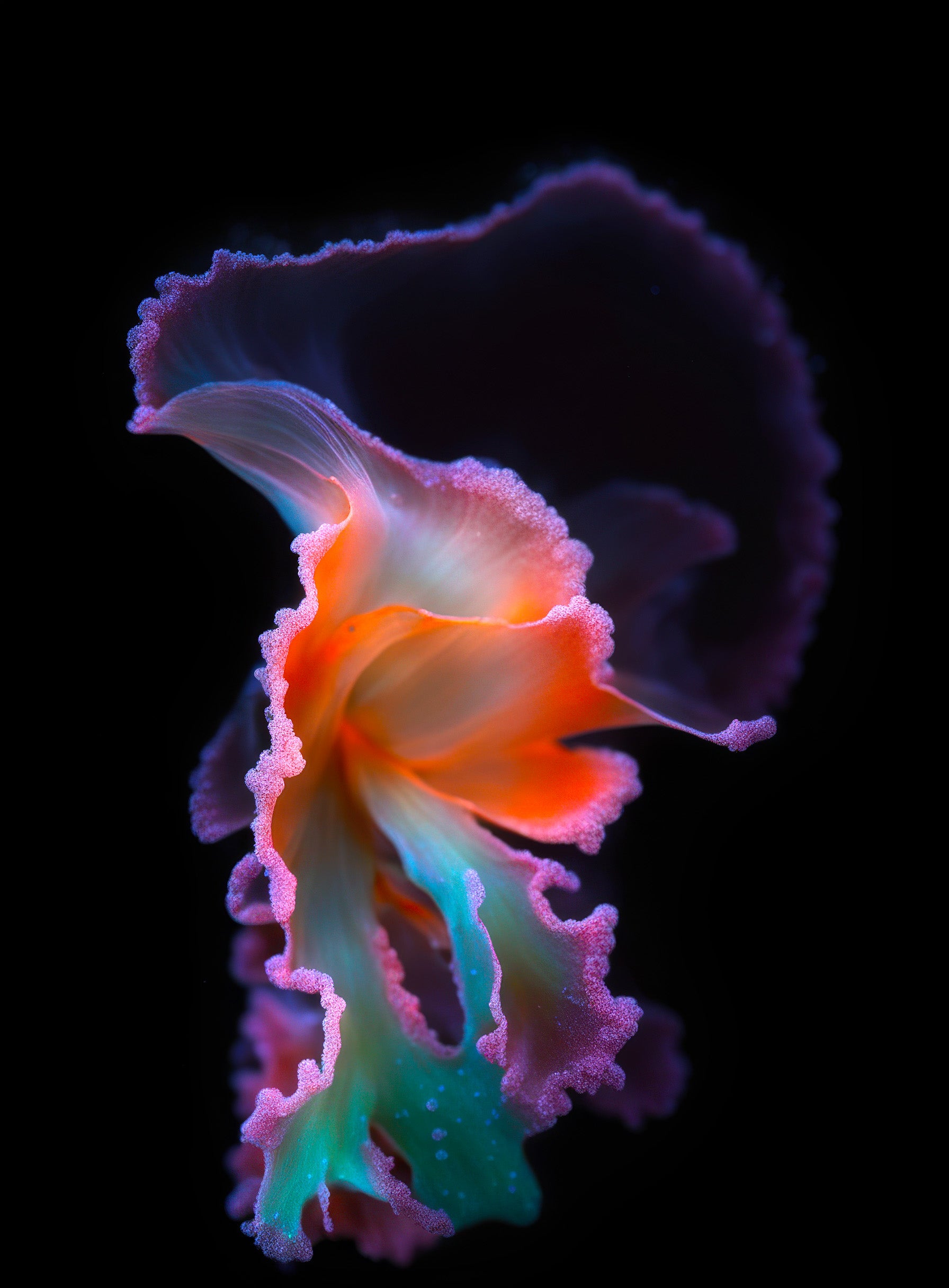 Superradiance Chapter 1: Embodied Simulation