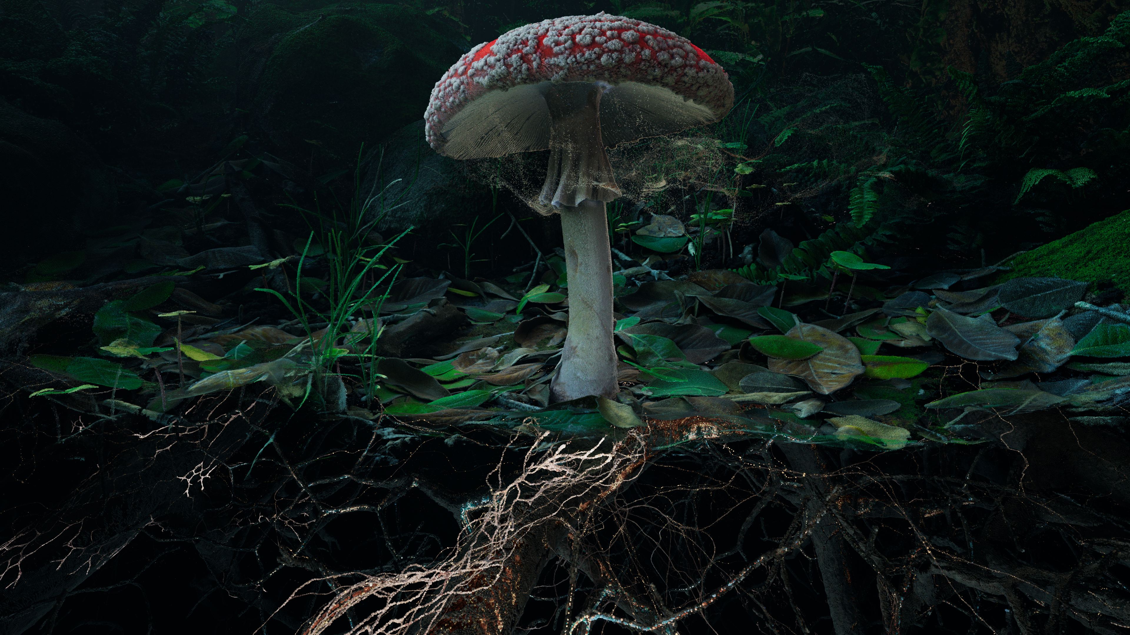 PoeticsofSoil:FlyAgaricI