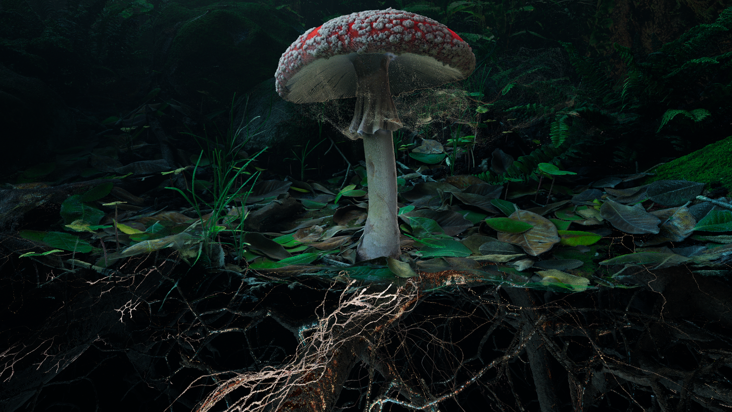 Poetics of Soil: Fly Agaric I