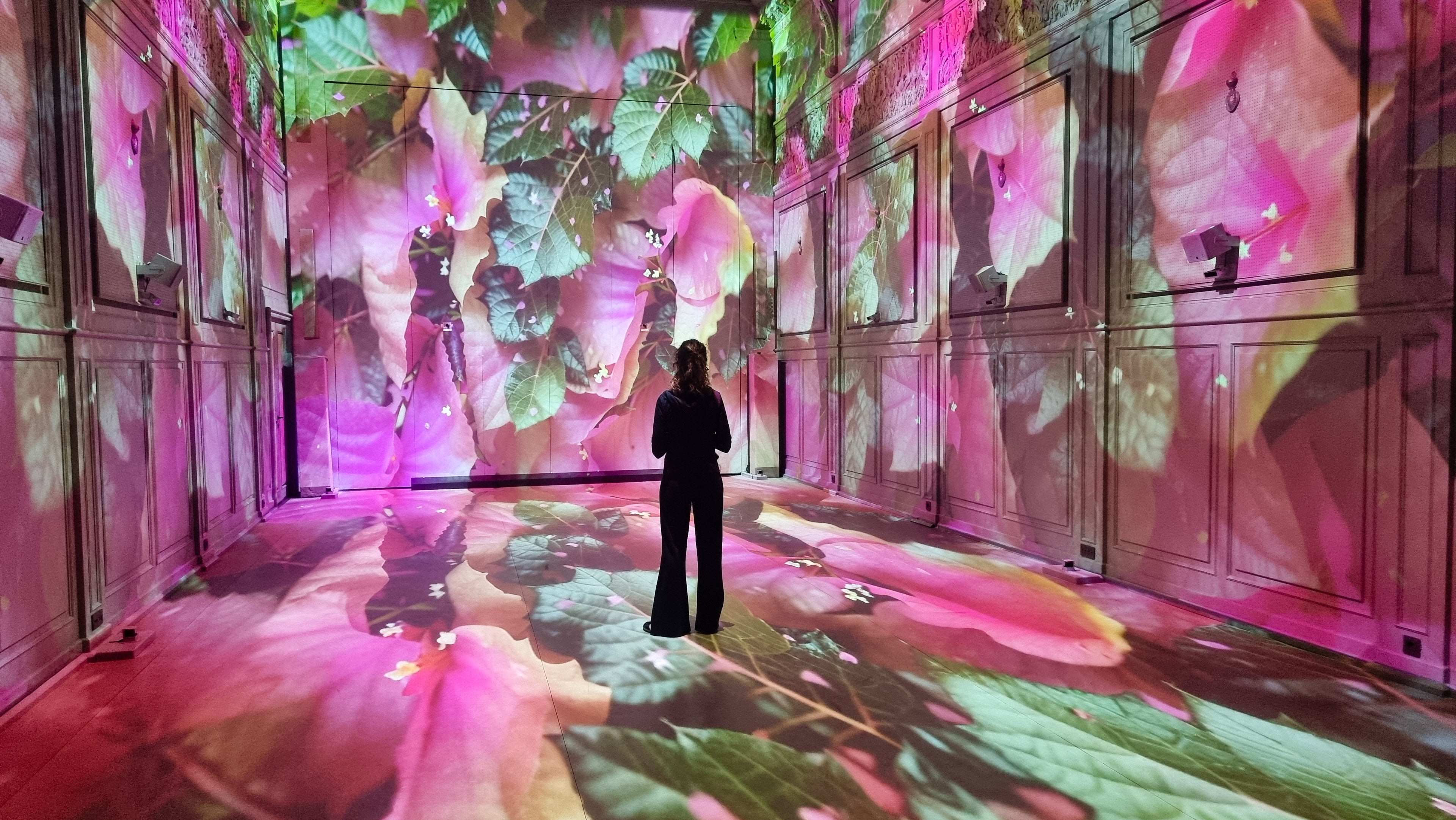 Superradiance Chapter 2: Embodying Earth