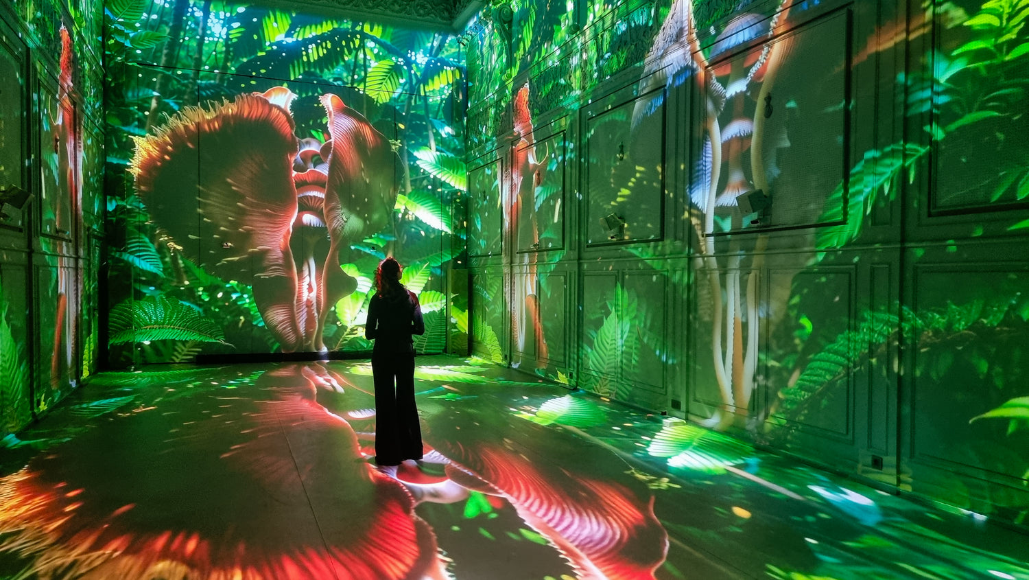 Superradiance Chapter 2: Embodying Earth