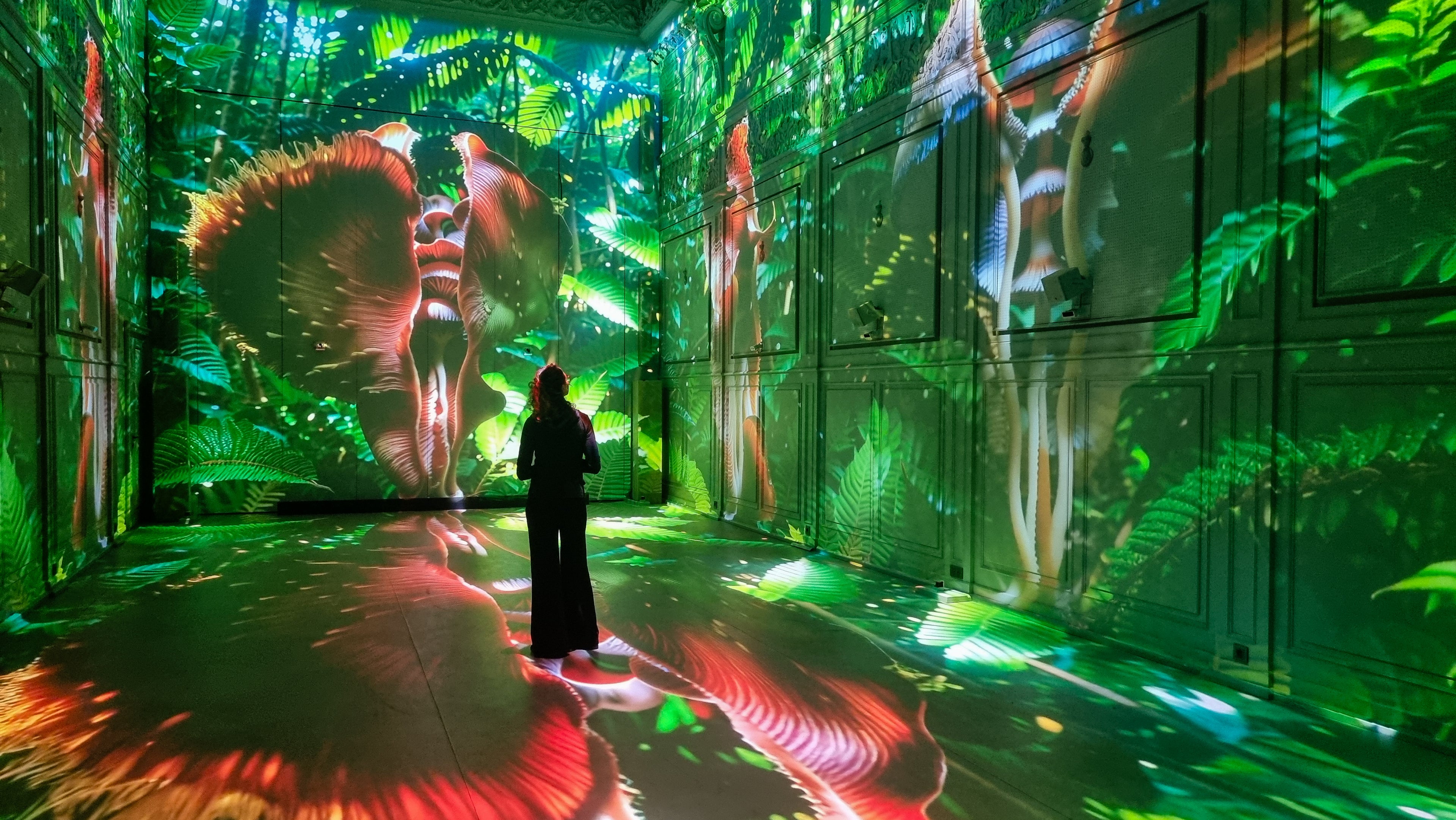 Superradiance Chapter 2: Embodying Earth