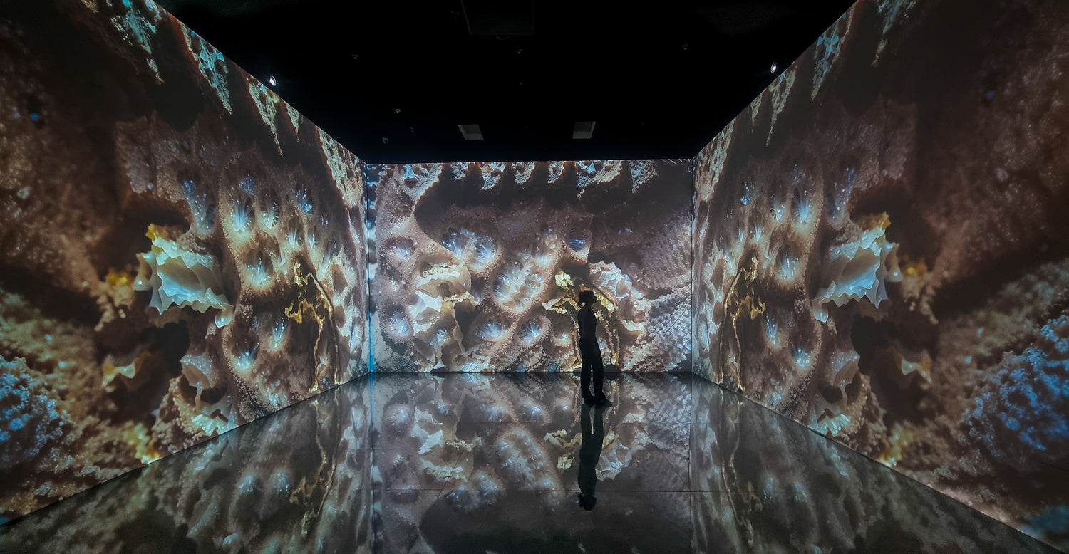 Superradiance Chapter 2: Embodying Earth