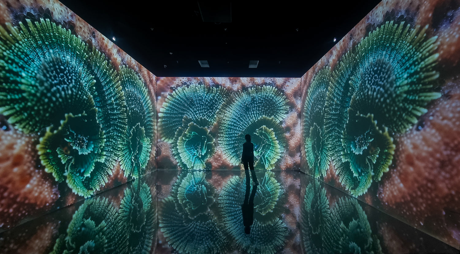 Superradiance Chapter 2: Embodying Earth