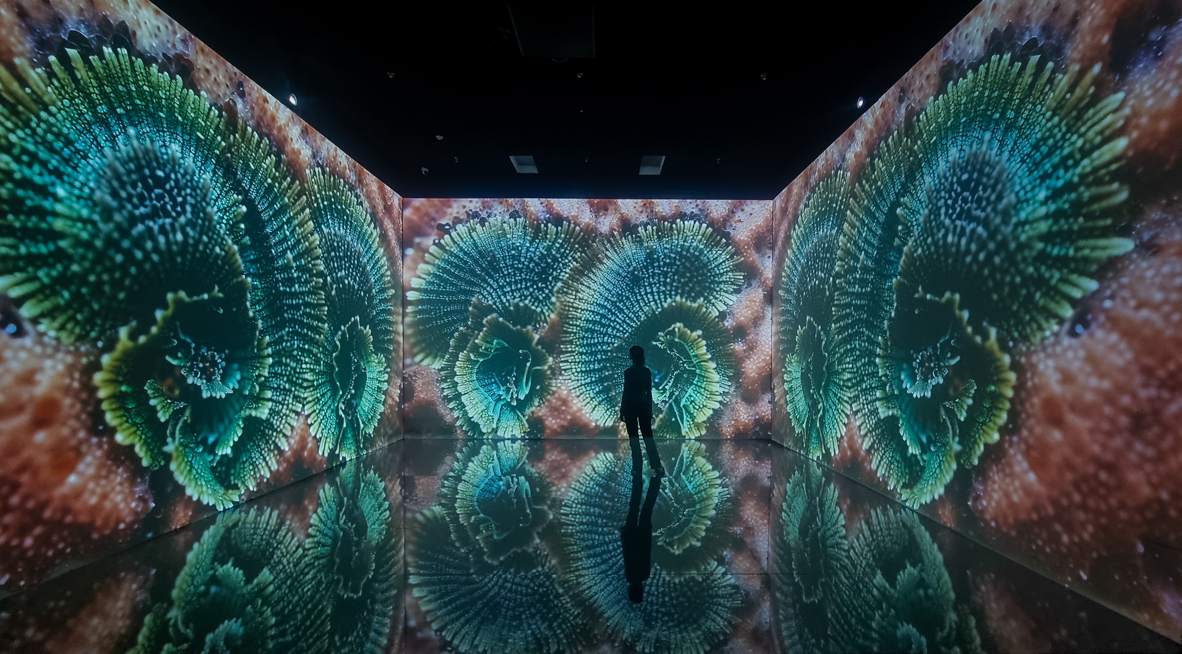 Superradiance Chapter 2: Embodying Earth