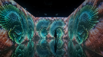 Superradiance Chapter 2: Embodying Earth