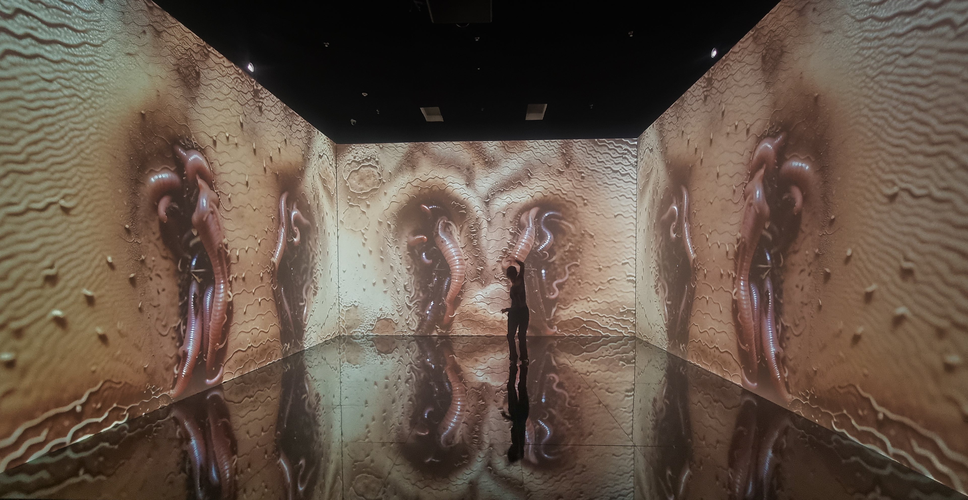 Superradiance Chapter 2: Embodying Earth