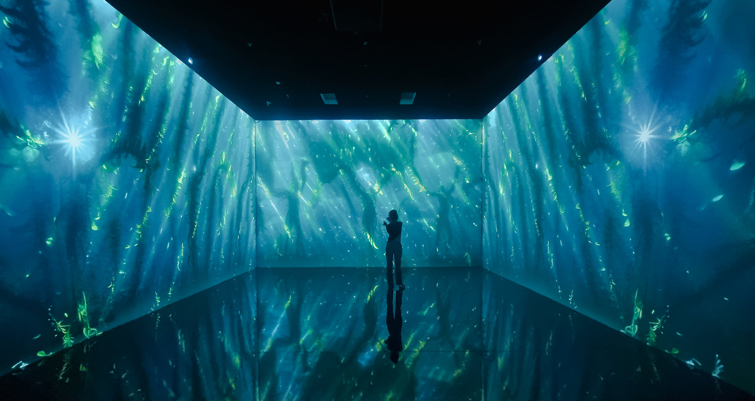 Superradiance Chapter 2: Embodying Earth