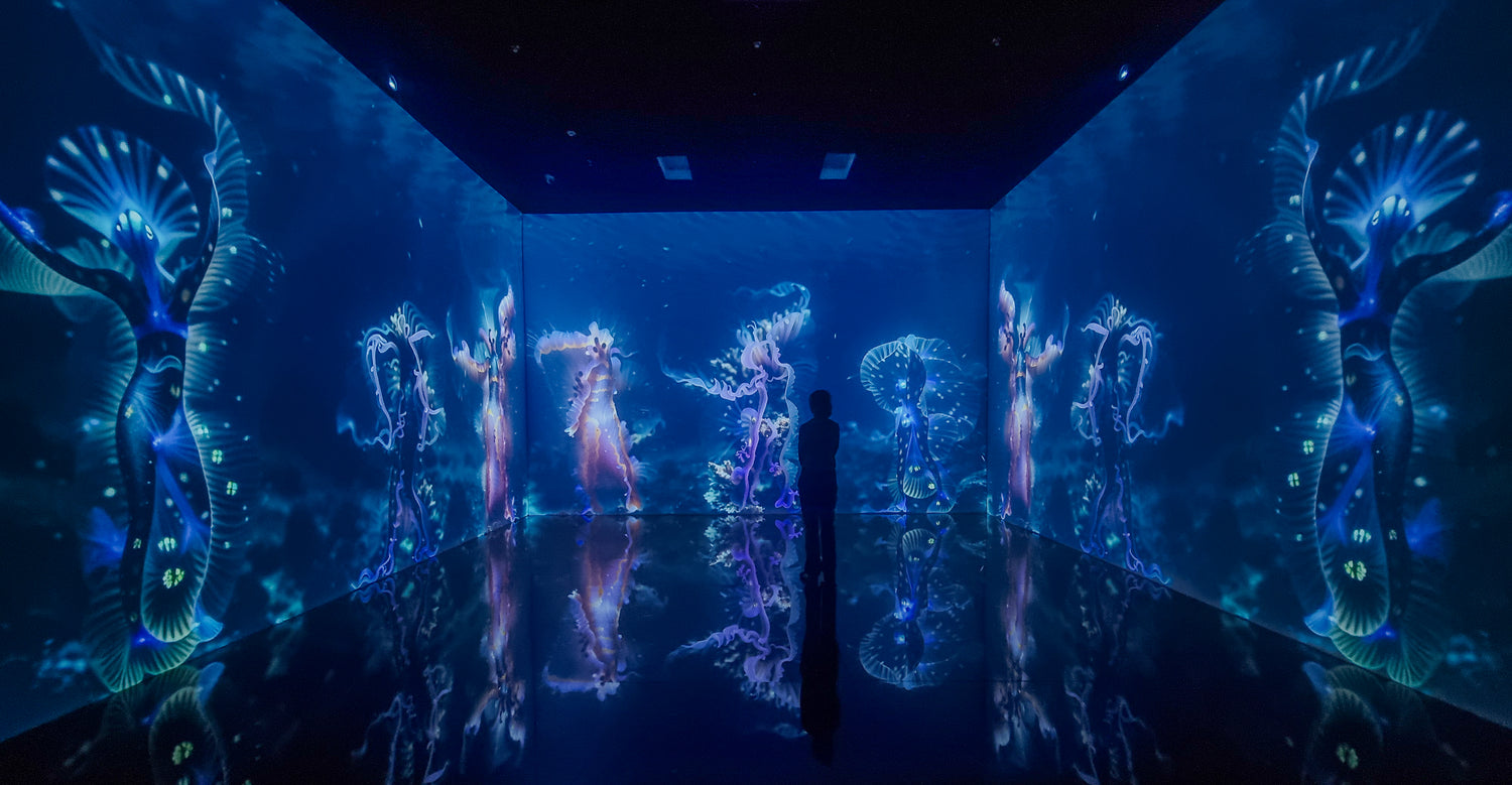 Superradiance Chapter 2: Embodying Earth