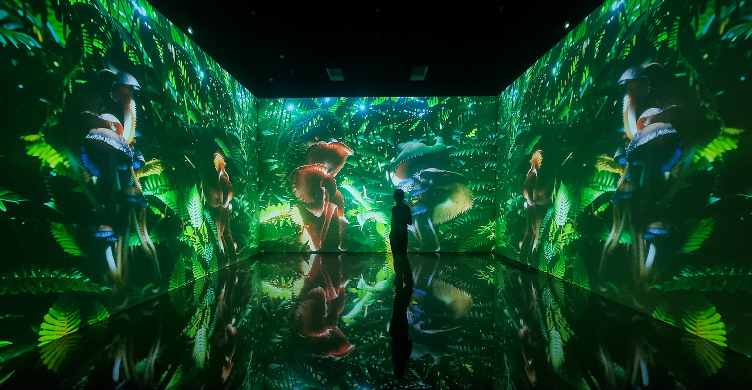 Superradiance Chapter 2: Embodying Earth