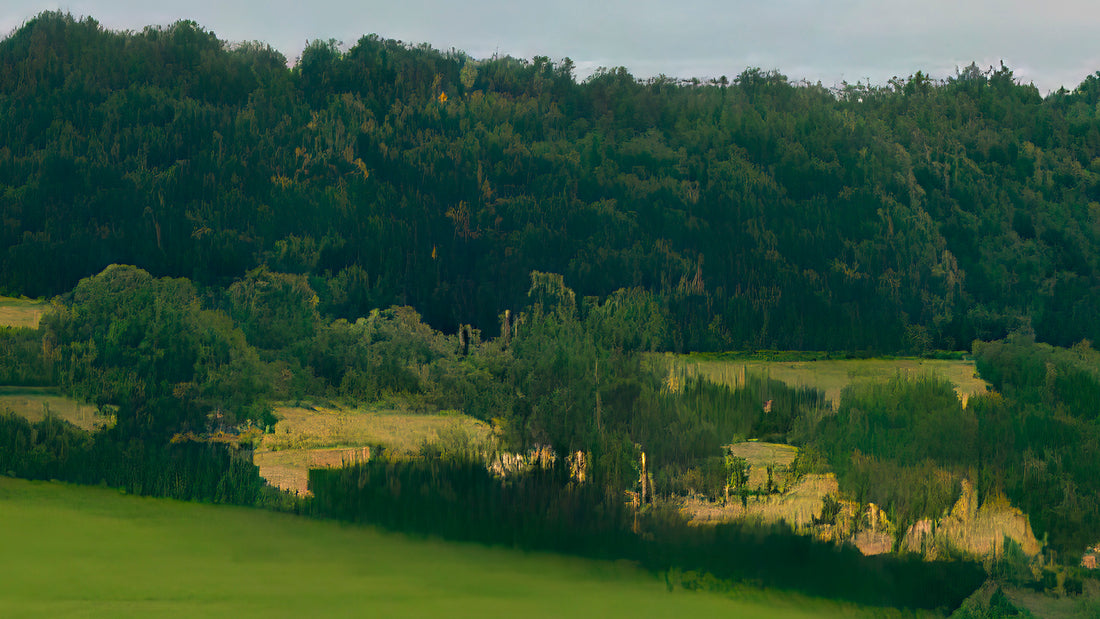 Reconstructed Landscape{s} – Hidcote Bartrim (i0)