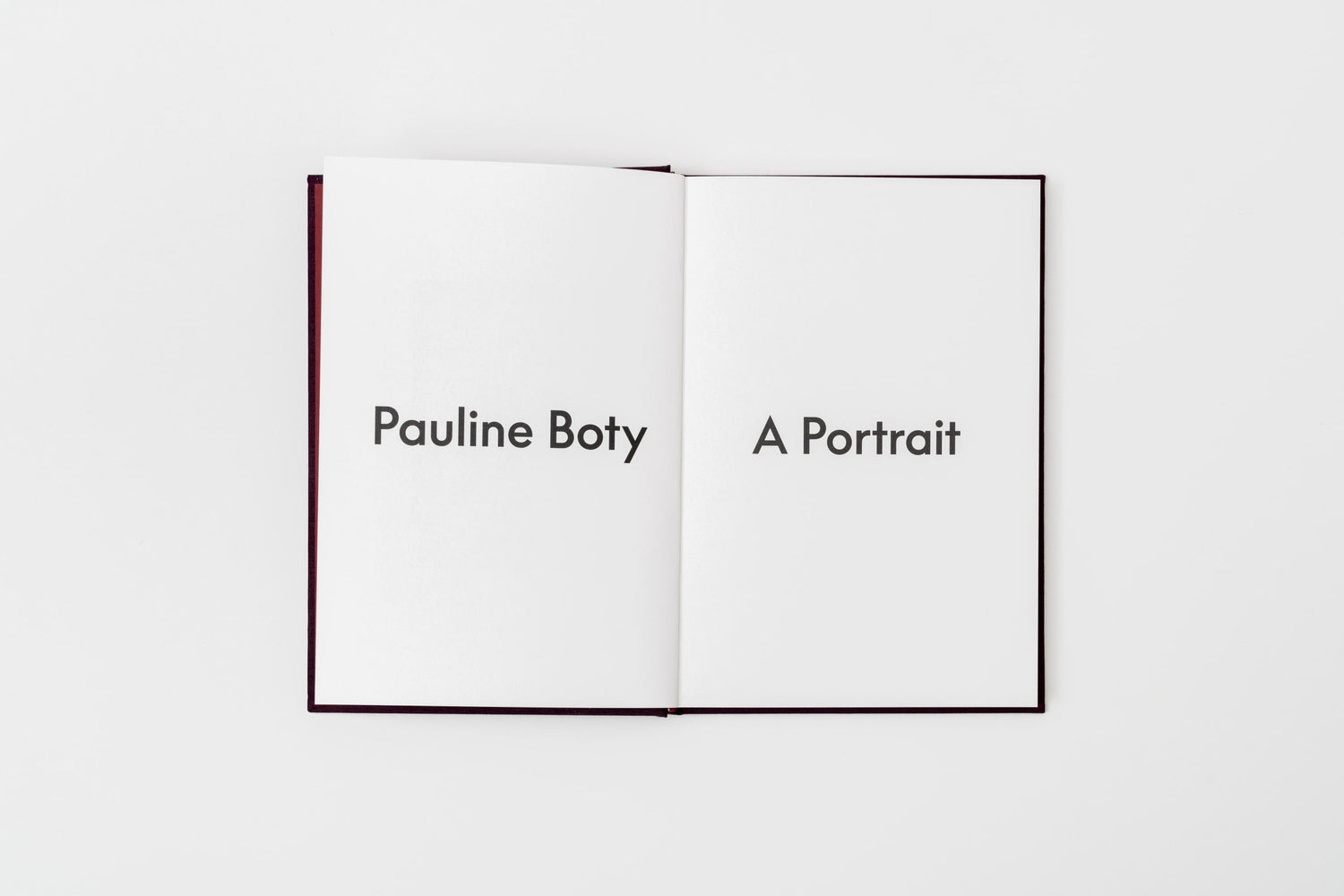 Pauline Boty: A Portrait