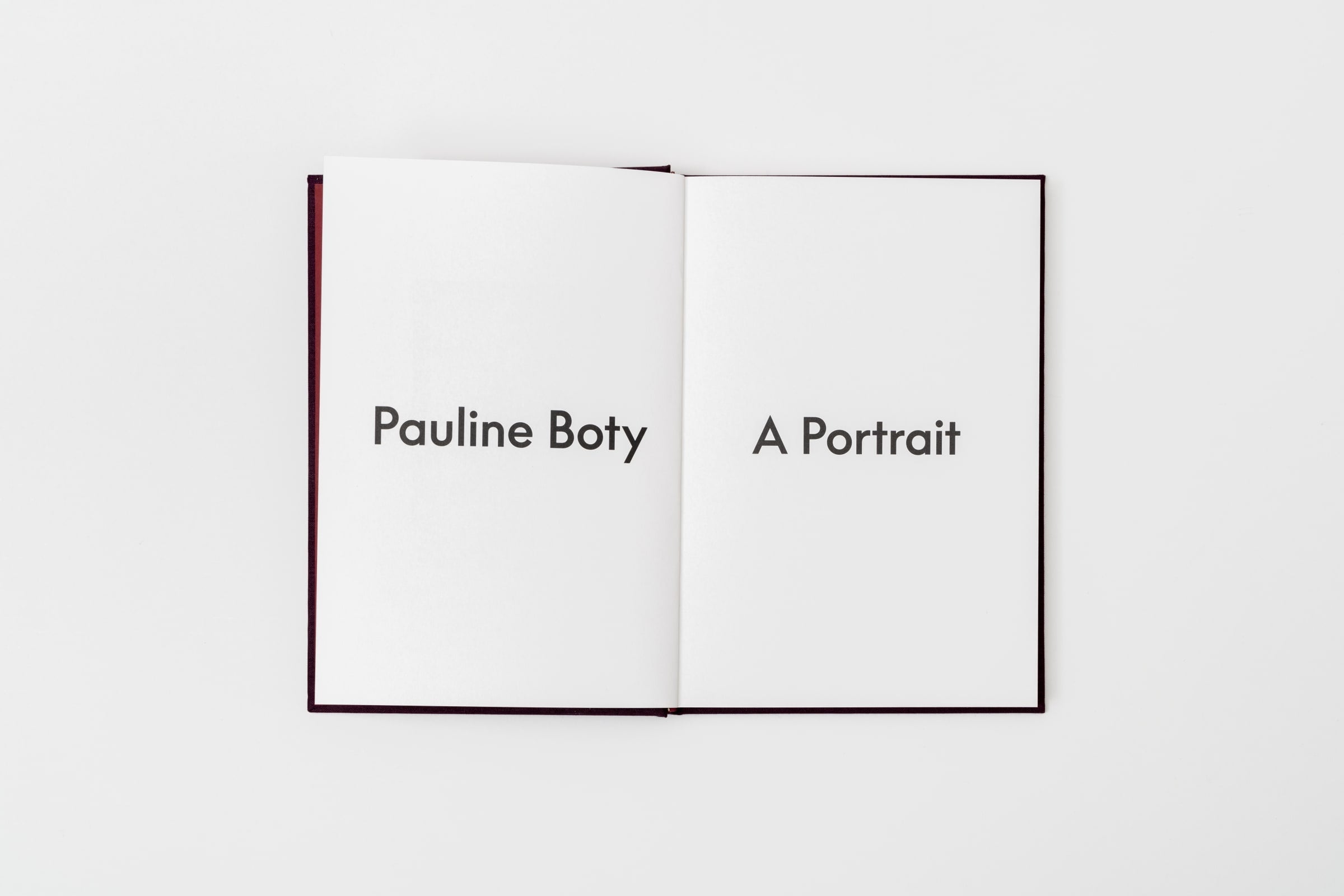 Pauline Boty: A Portrait